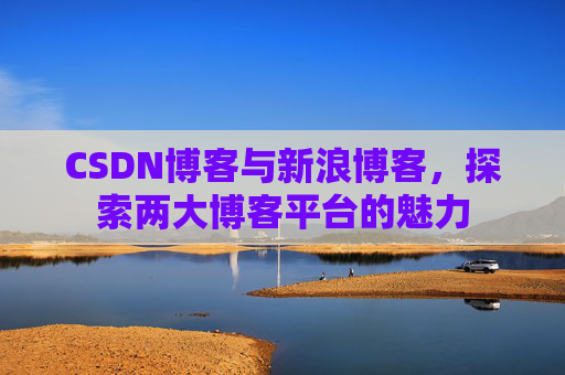 CSDN博客与新浪博客，探索两大博客平台的魅力