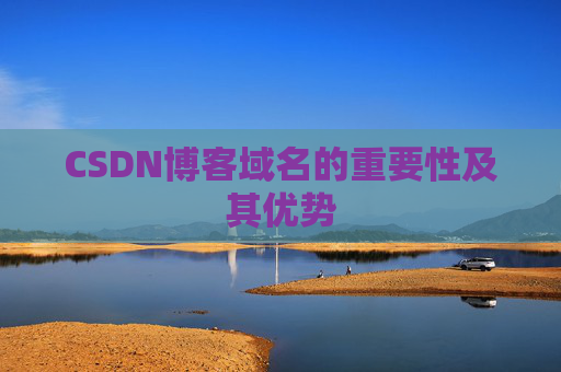 CSDN博客域名的重要性及其优势